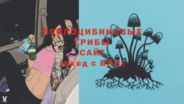 бошки Каменка