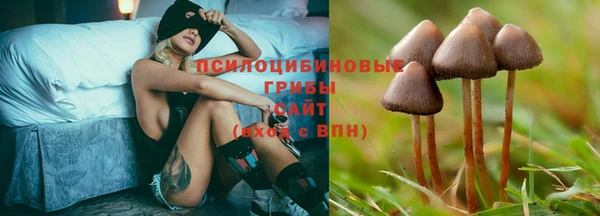бошки Каменка
