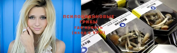 Альфа ПВП Каменск-Шахтинский