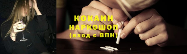 бошки Каменка