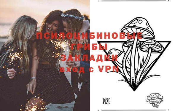 бошки Каменка