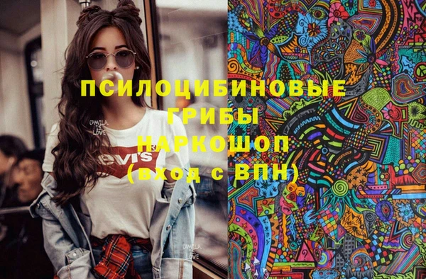 прущая мука Каменногорск