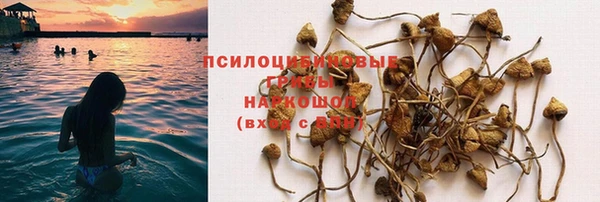 Альфа ПВП Каменск-Шахтинский