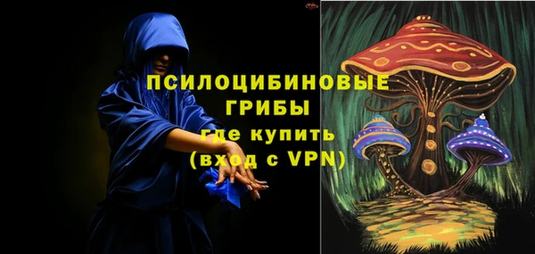 бошки Каменка