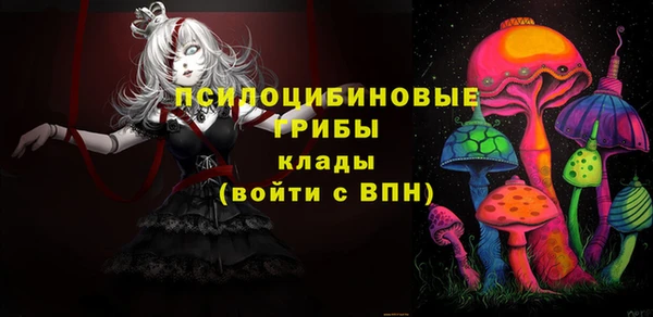 гидропоника Карпинск