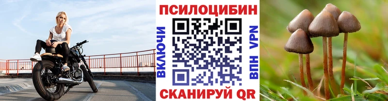 Купить  Гаджиево  Галлюциногенные грибы ЛСД 